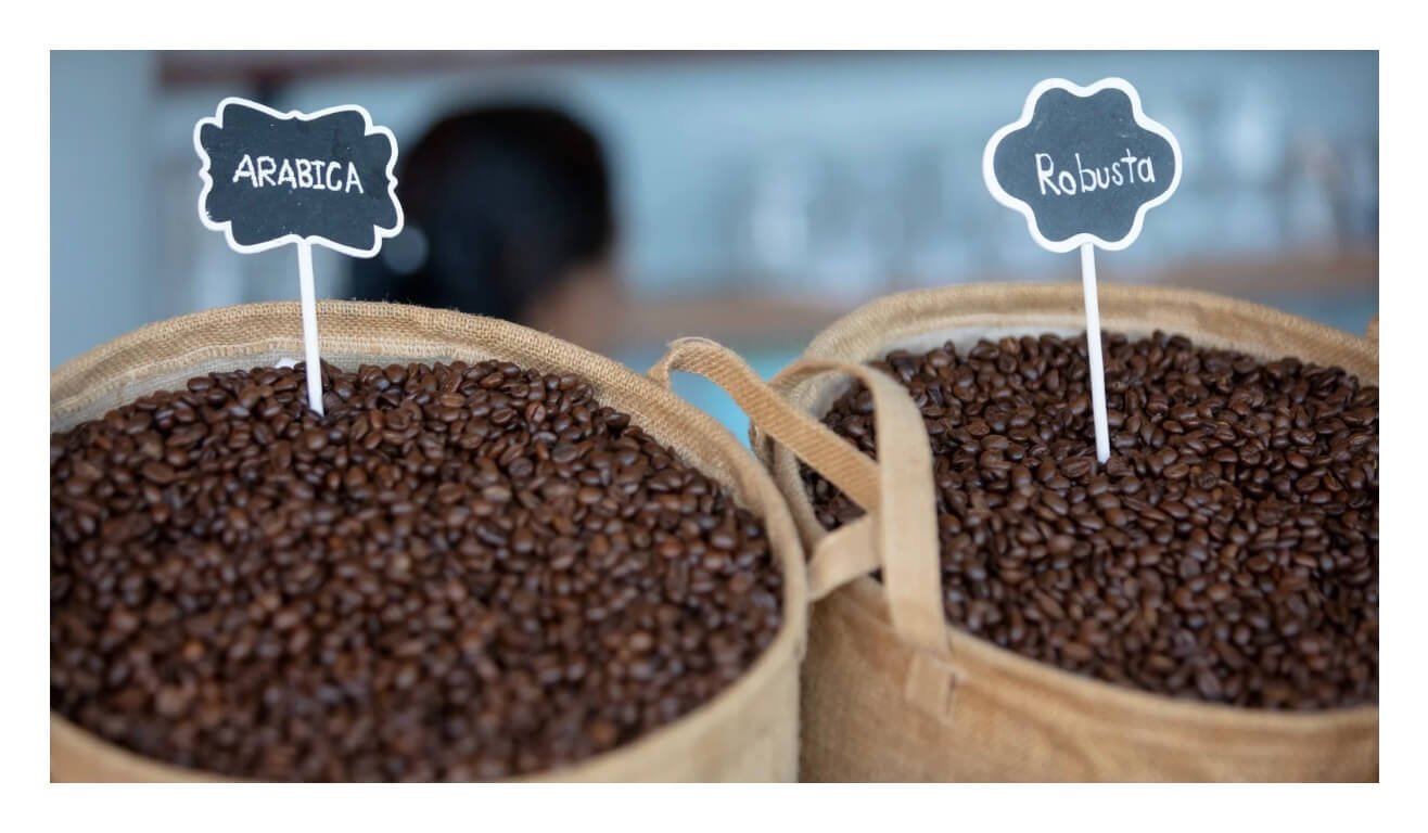 أهم الفروقات بين قهوة أرابيكا وقهوة روبوستا